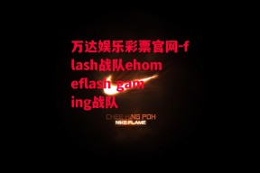 万达娱乐彩票官网-flash战队ehomeflash gaming战队